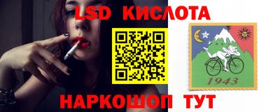 прущие грибы Славгород